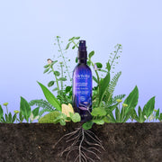 Eau Florale De Lavande Bio