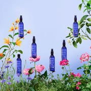 Eau Florale De Lavande Bio